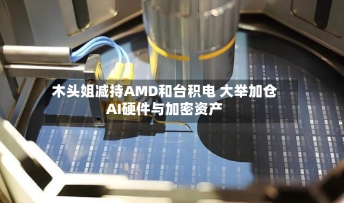 木头姐减持AMD和台积电 大举加仓AI硬件与加密资产