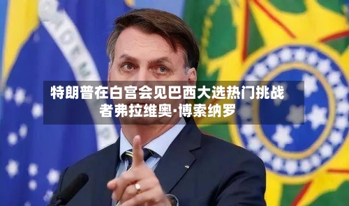 特朗普在白宫会见巴西大选热门挑战者弗拉维奥·博索纳罗