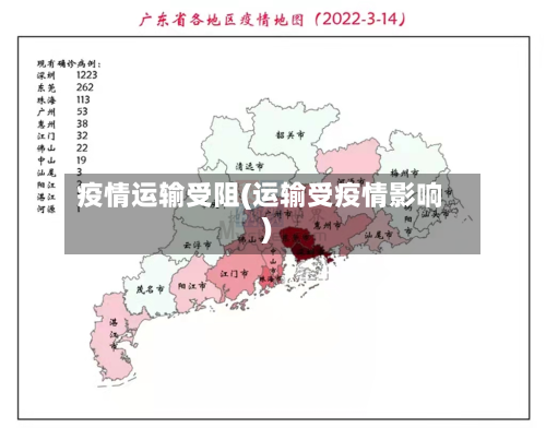 疫情运输受阻(运输受疫情影响)