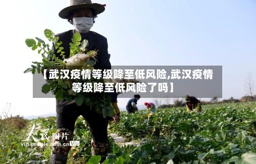 【武汉疫情等级降至低风险,武汉疫情等级降至低风险了吗】