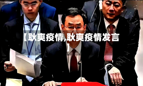 【耿爽疫情,耿爽疫情发言】