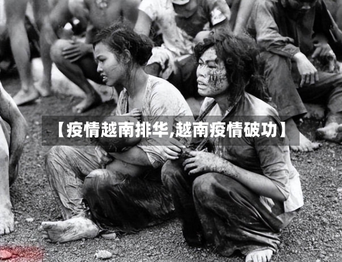 【疫情越南排华,越南疫情破功】