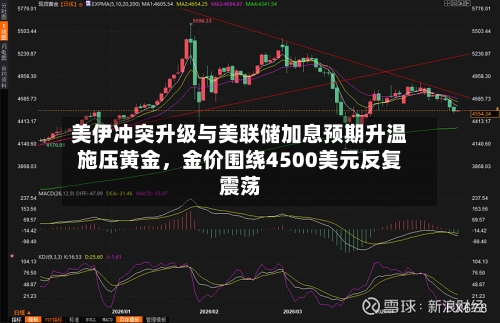 美伊冲突升级与美联储加息预期升温施压黄金，金价围绕4500美元反复震荡
