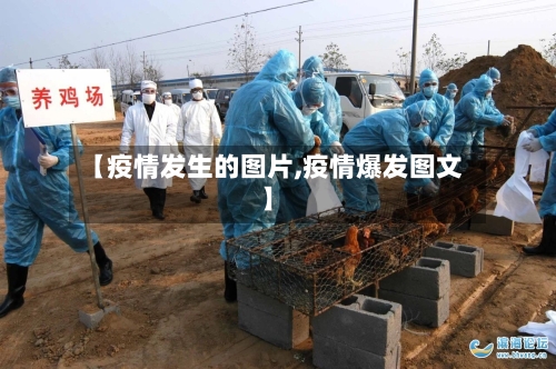 【疫情发生的图片,疫情爆发图文】