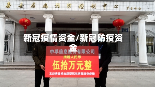 新冠疫情资金/新冠防疫资金