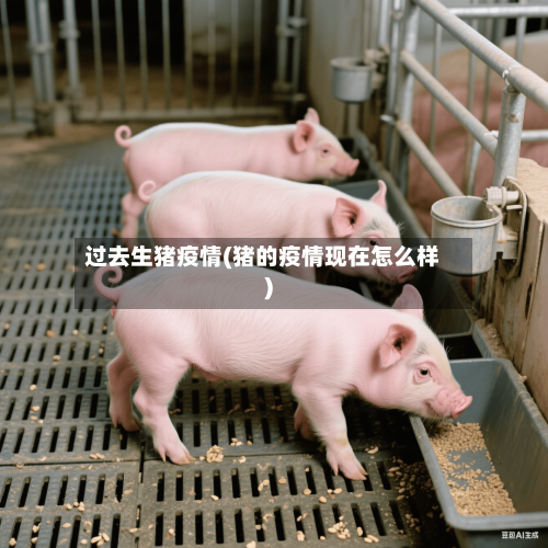 过去生猪疫情(猪的疫情现在怎么样)