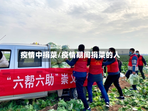 疫情中捐菜/疫情期间捐菜的人