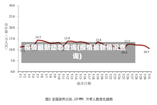 疫情最新动态查询(疫情最新情况查询)