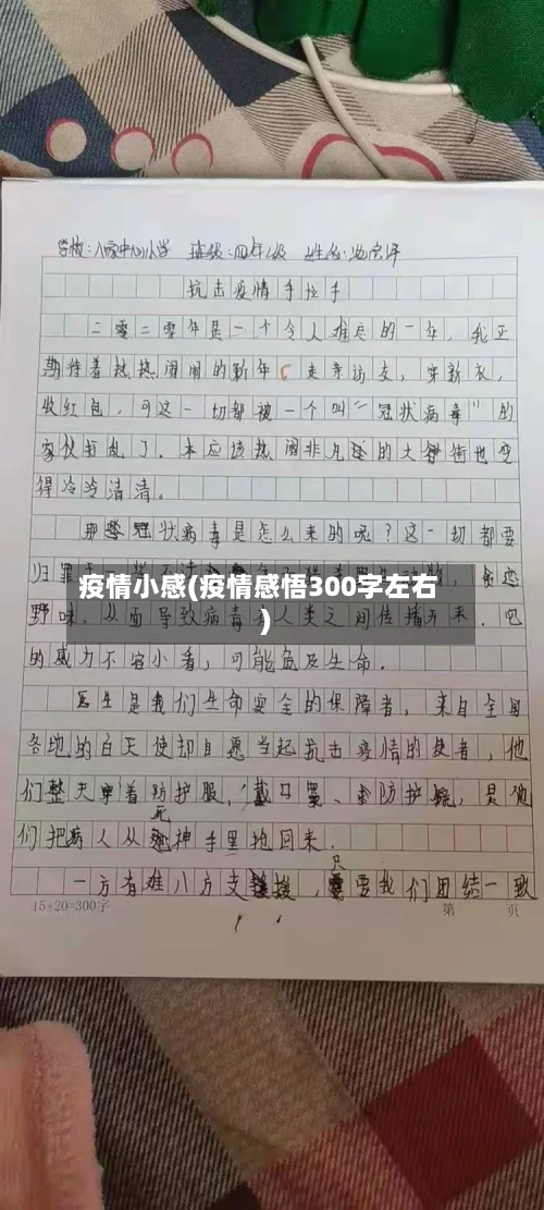 疫情小感(疫情感悟300字左右)