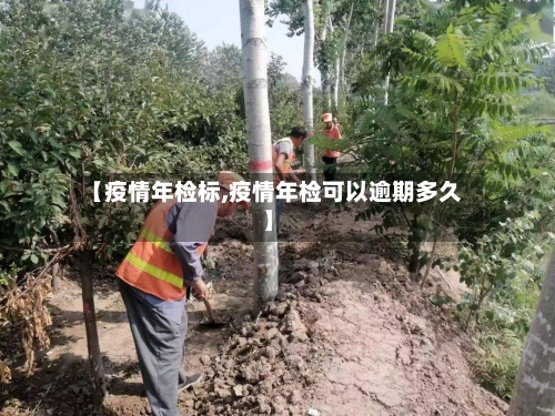 【疫情年检标,疫情年检可以逾期多久】