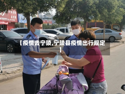 【疫情去宁陵,宁陵县疫情出行规定】