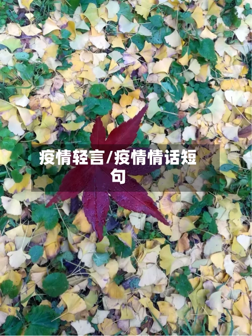 疫情轻言/疫情情话短句