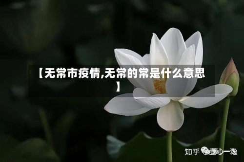 【无常市疫情,无常的常是什么意思】