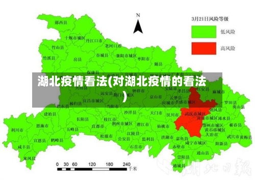 湖北疫情看法(对湖北疫情的看法)