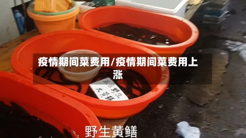 疫情期间菜费用/疫情期间菜费用上涨