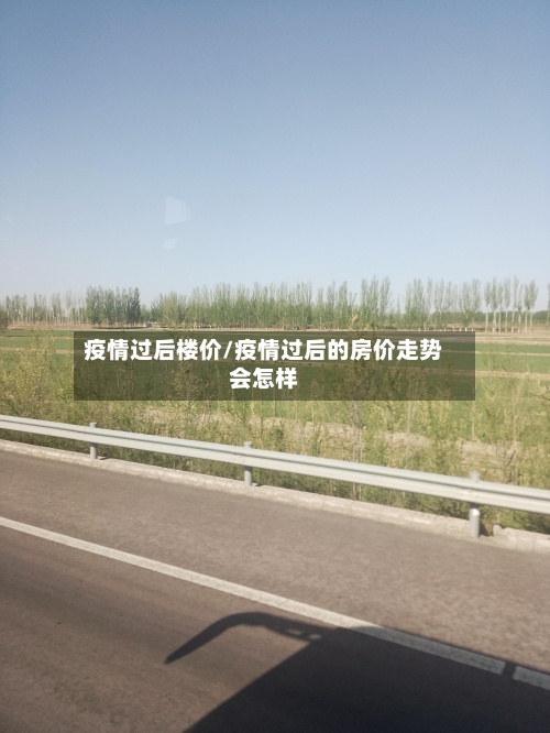 疫情过后楼价/疫情过后的房价走势会怎样