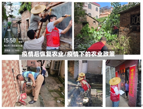 疫情后恢复农业/疫情下的农业政策