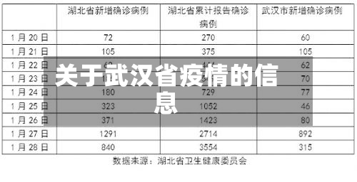 关于武汉省疫情的信息