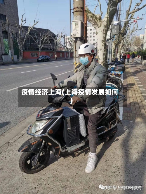 疫情经济上海(上海疫情发展如何)