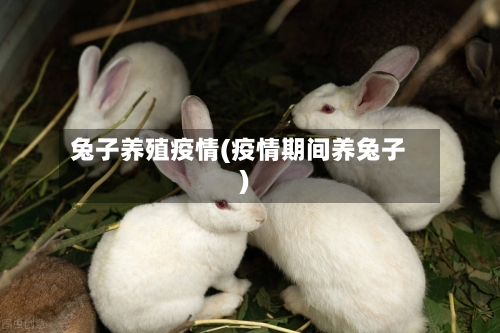 兔子养殖疫情(疫情期间养兔子)