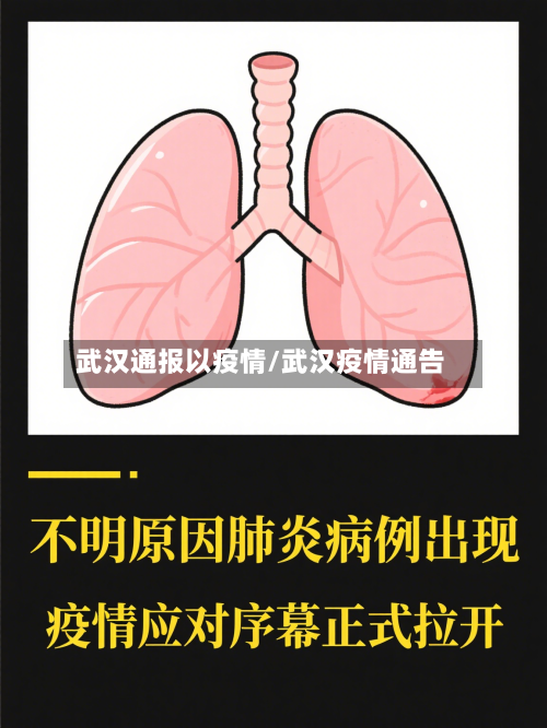 武汉通报以疫情/武汉疫情通告