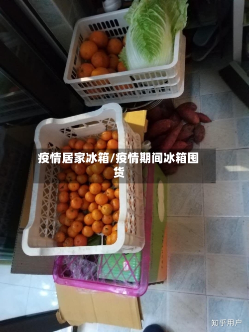 疫情居家冰箱/疫情期间冰箱囤货