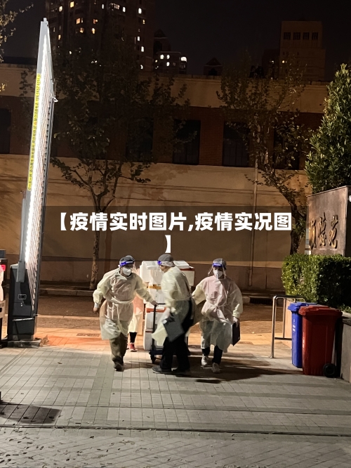 【疫情实时图片,疫情实况图】