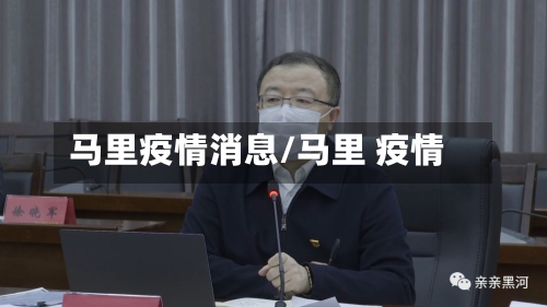 马里疫情消息/马里 疫情