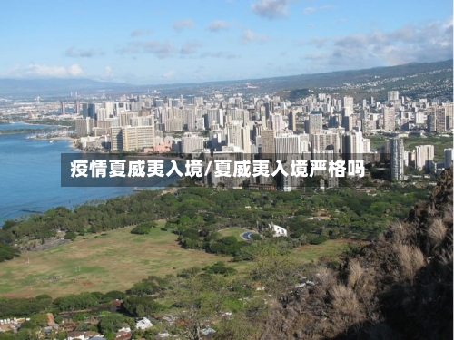 疫情夏威夷入境/夏威夷入境严格吗