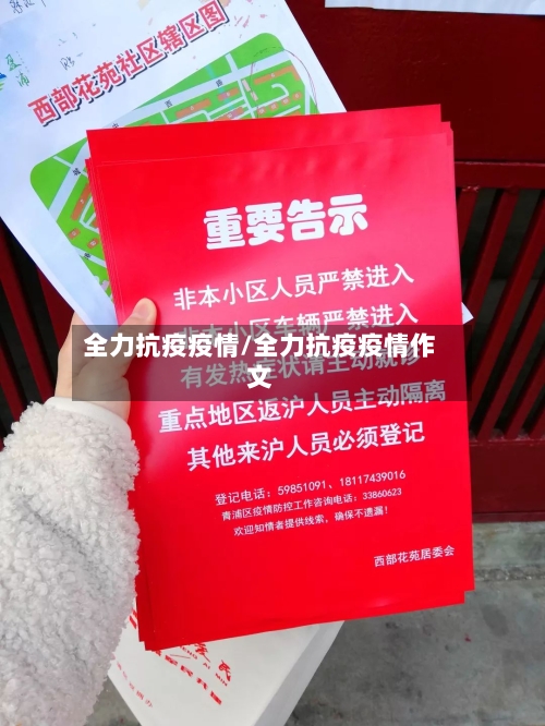 全力抗疫疫情/全力抗疫疫情作文