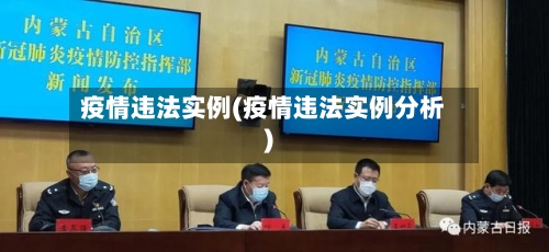 疫情违法实例(疫情违法实例分析)