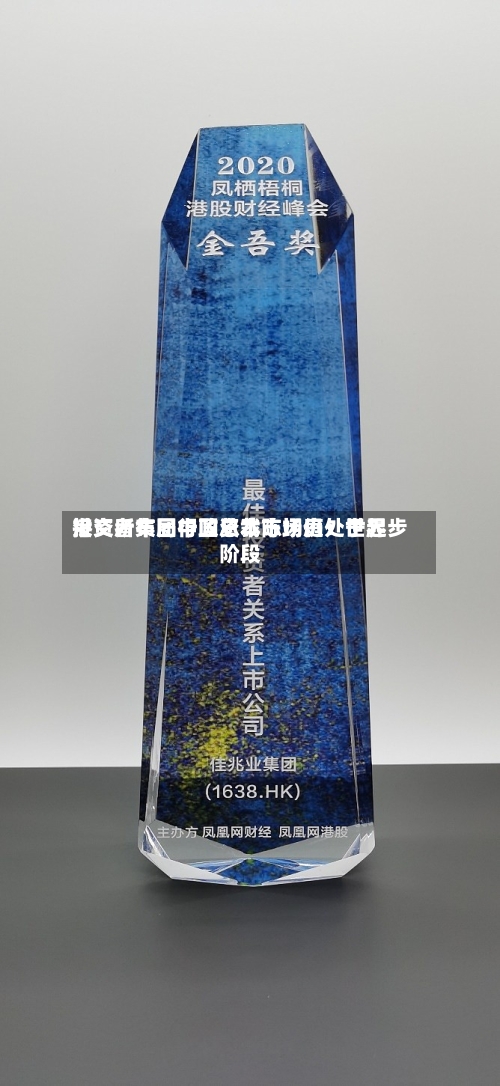 港交所集团行政总裁陈翊庭：世界投资者布局中国资本市场仍处于起步阶段