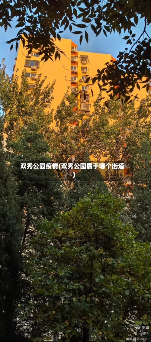 双秀公园疫情(双秀公园属于哪个街道)