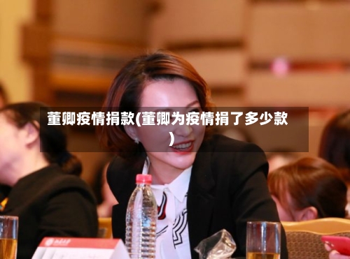 董卿疫情捐款(董卿为疫情捐了多少款)
