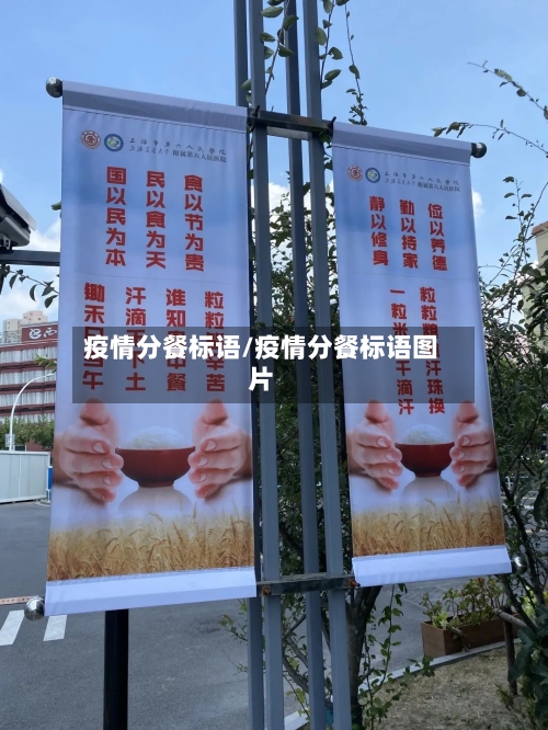 疫情分餐标语/疫情分餐标语图片