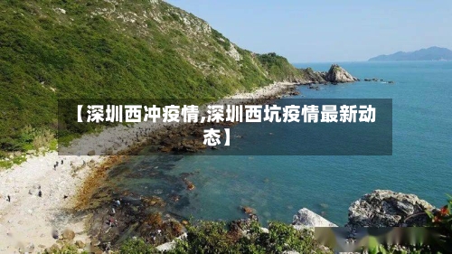 【深圳西冲疫情,深圳西坑疫情最新动态】