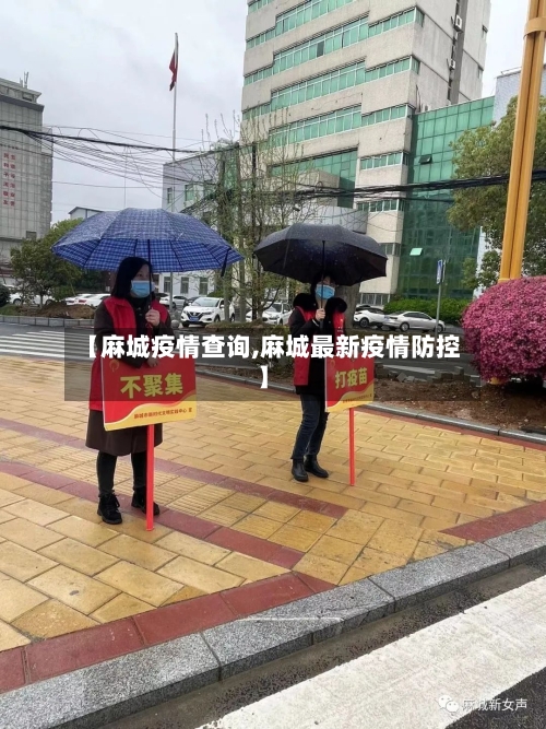 【麻城疫情查询,麻城最新疫情防控】