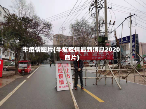 牛疫情图片(牛瘟疫情最新消息2020图片)
