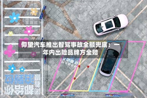 仰望汽车推出智驾事故全额兜底：一年内出险品牌方全赔