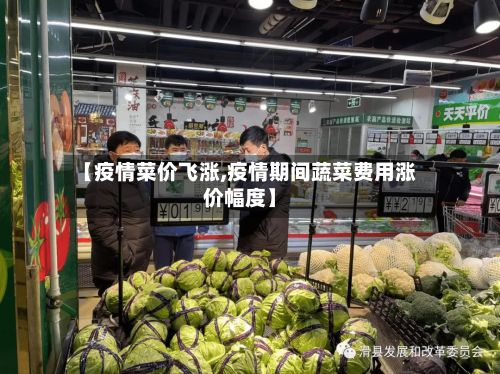 【疫情菜价飞涨,疫情期间蔬菜费用涨价幅度】