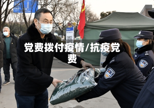 党费拨付疫情/抗疫党费