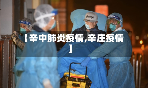 【辛中肺炎疫情,辛庄疫情】