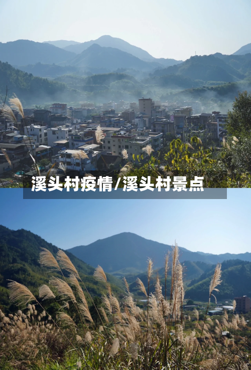 溪头村疫情/溪头村景点