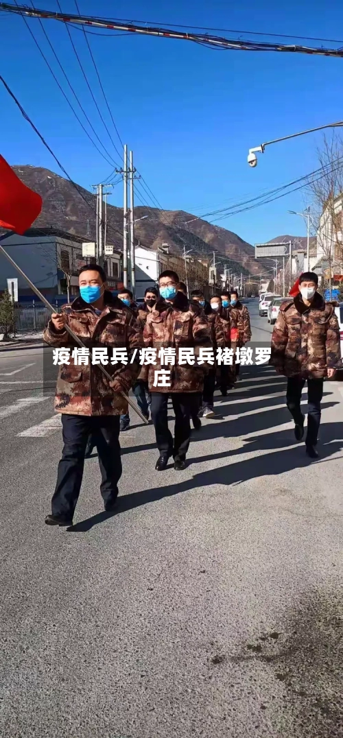 疫情民兵/疫情民兵褚墩罗庄