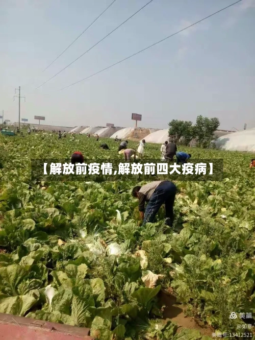 【解放前疫情,解放前四大疫病】