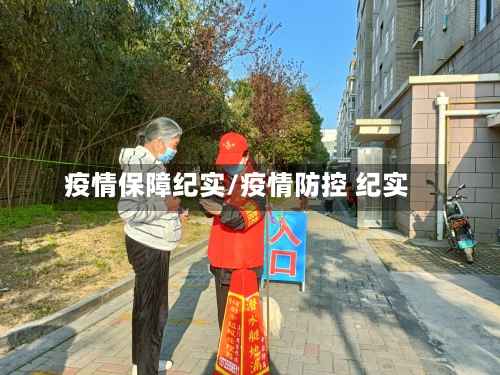疫情保障纪实/疫情防控 纪实