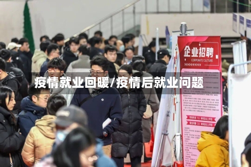 疫情就业回暖/疫情后就业问题