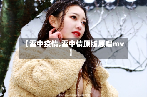 【雪中疫情,雪中情原版原唱mv】