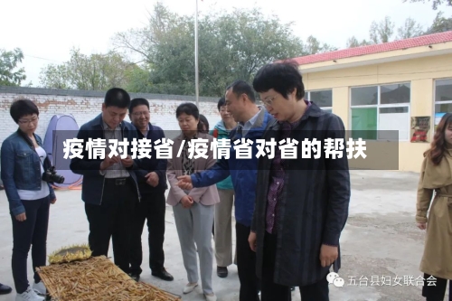 疫情对接省/疫情省对省的帮扶