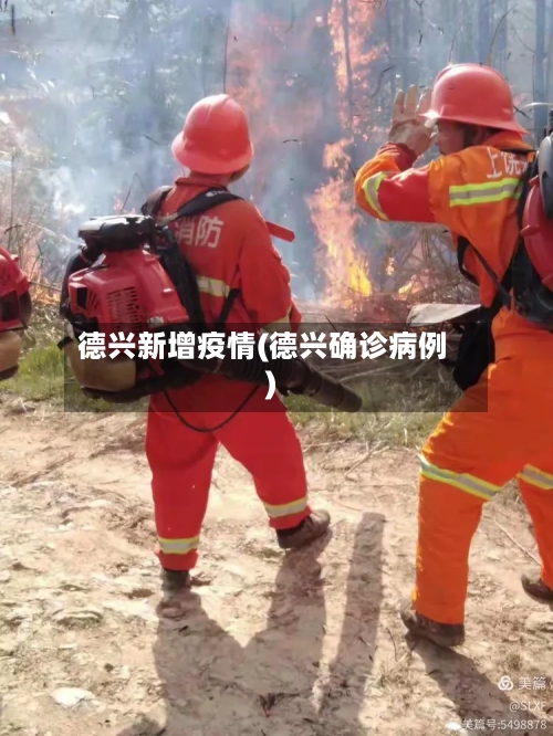 德兴新增疫情(德兴确诊病例)